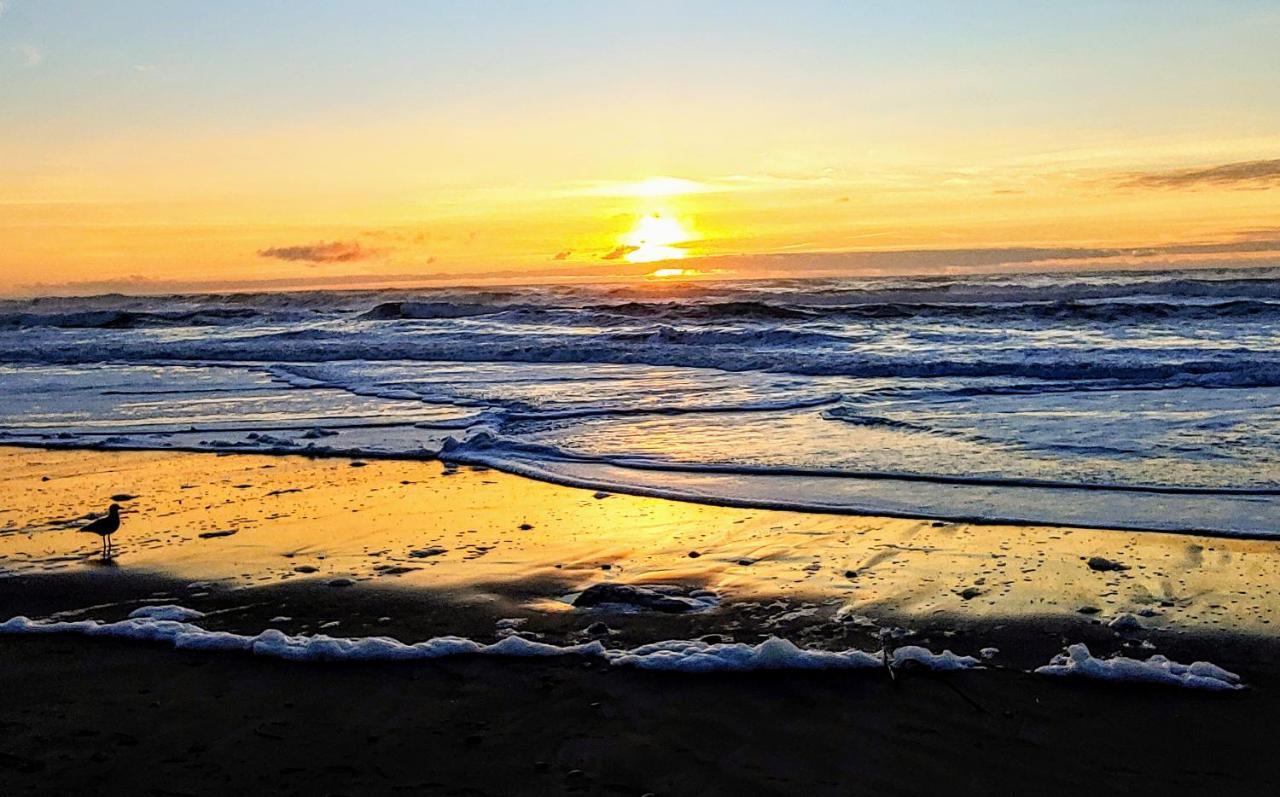 Starfish Manor Oceanfront Hotel Lincoln City Zewnętrze zdjęcie
